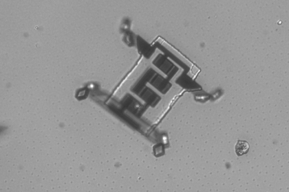 This tiny swimming robot can think for itself