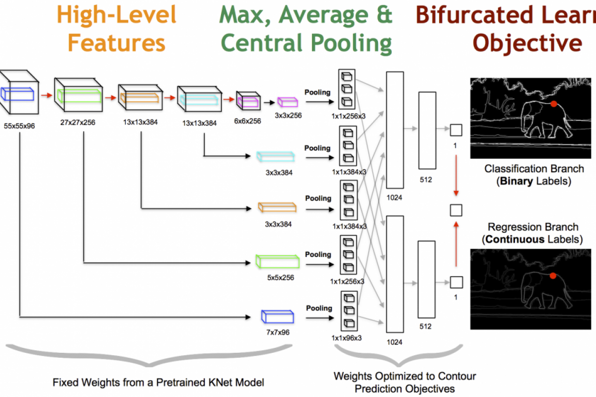 DeepEdge: A Multi-Scale Bifurcated Deep Network for Top-Down Contour Detection