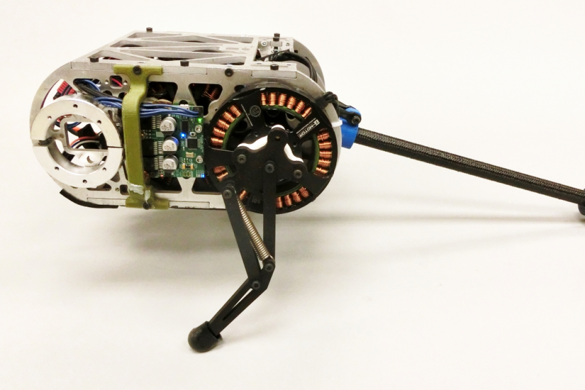 The Penn Jerboa: Tailed Hopping Robot
