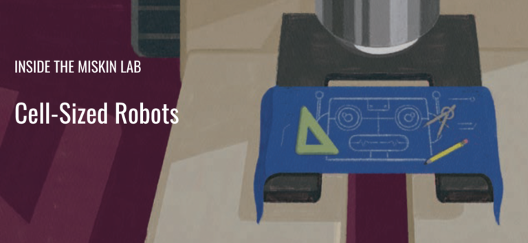 <strong>Cell-Sized Robots</strong>