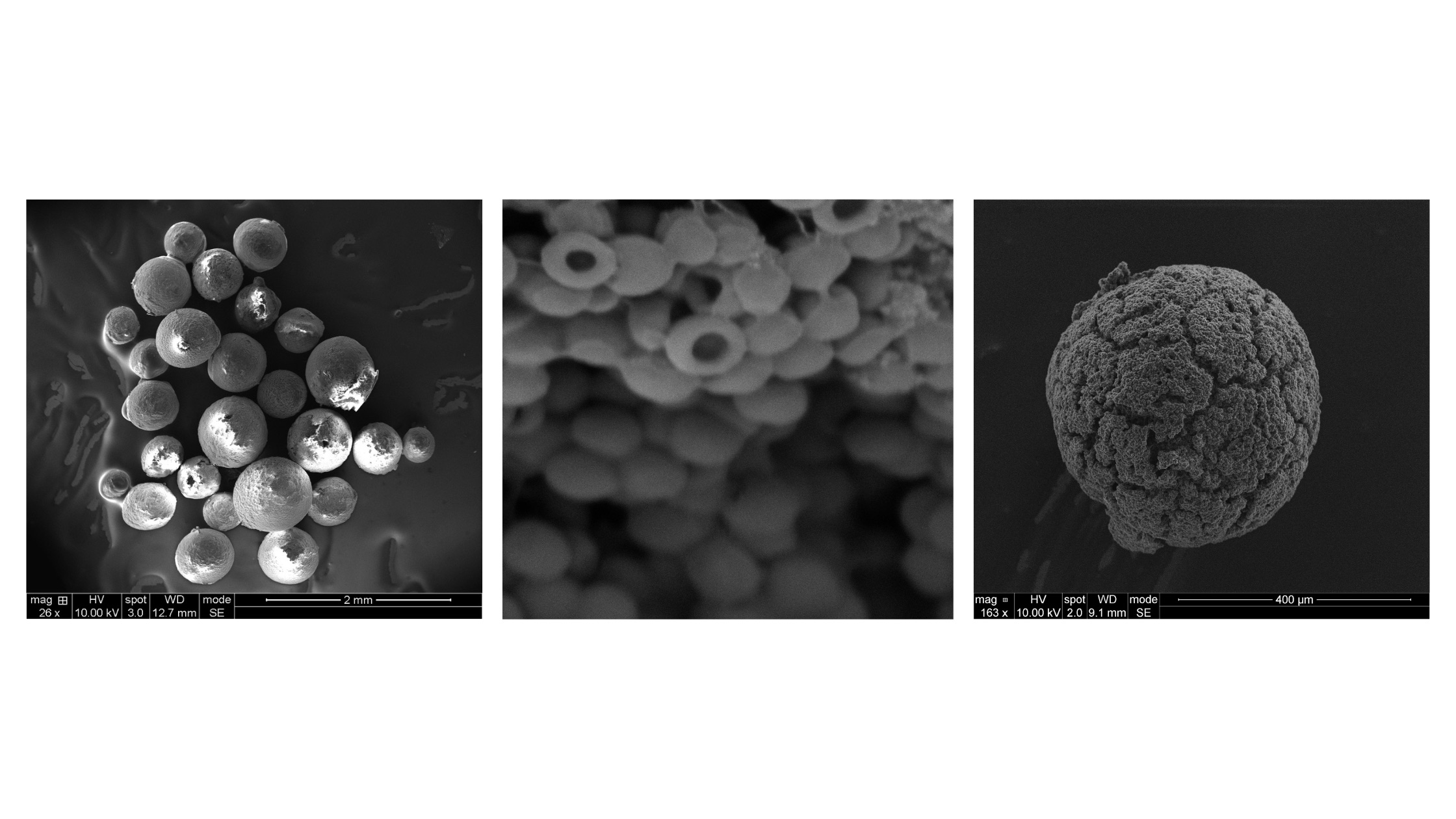 Sunflower Spirals and Raspberry Beads: A Nature-Inspired Leap in Water Harvesting Technology